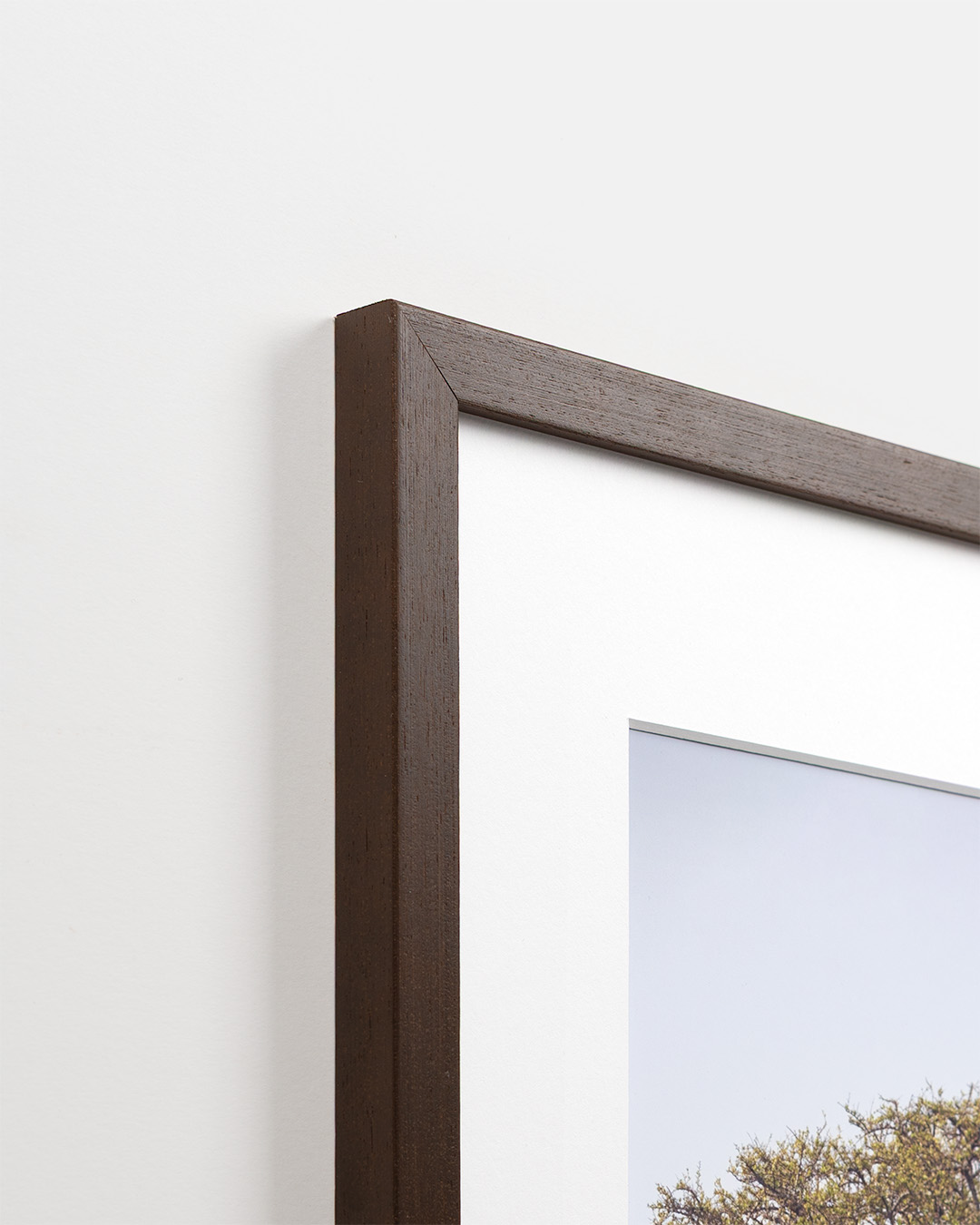 Form Wenge