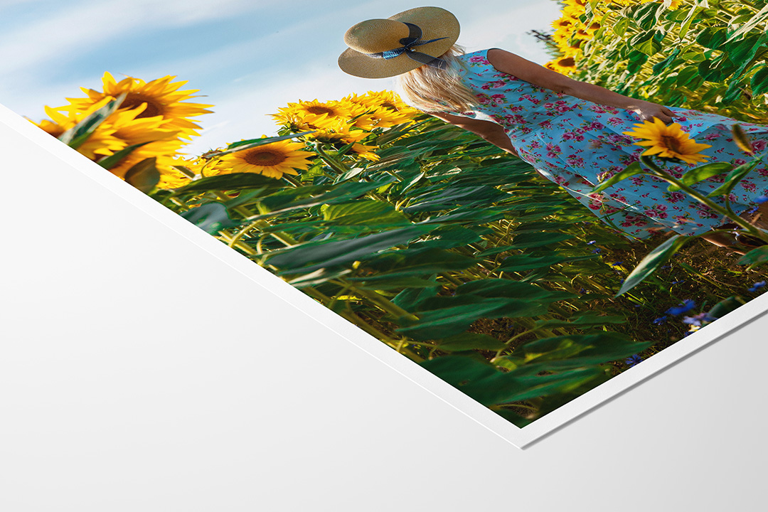 Matte Photo Paper